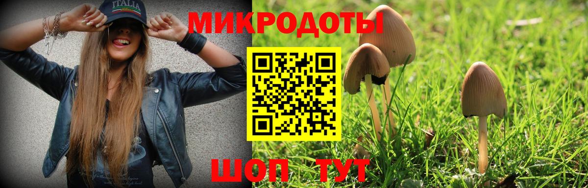 Псилоцибиновые грибы GOLDEN TEACHER  Вход с VPN  Азов 